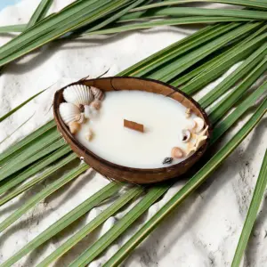 Соєва ароматична свічка  в кокосі HARMONI